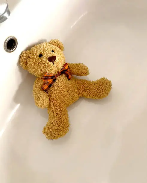Photo of teddy bear
