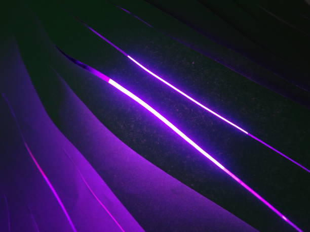 istock Textured Purple Black Abstract   Simple Smooth Motion Defocused Blurred  Modern  Background 1395722146