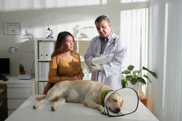 istock Dog Owner Visiting Veterinarian 1395726353