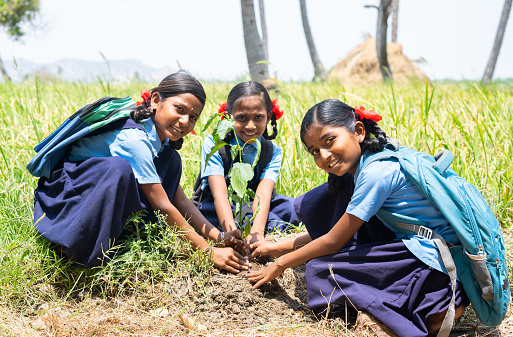 group of teenager village school kids planting tree while looking at camera - concept of environmental conservation, volunteers and sustainable lifestyle.