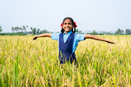 Happy village school girl kid rotating with arms stretched in middle paddy filed during harvesting season - concept of freedom, happiness and rural lifestyles.