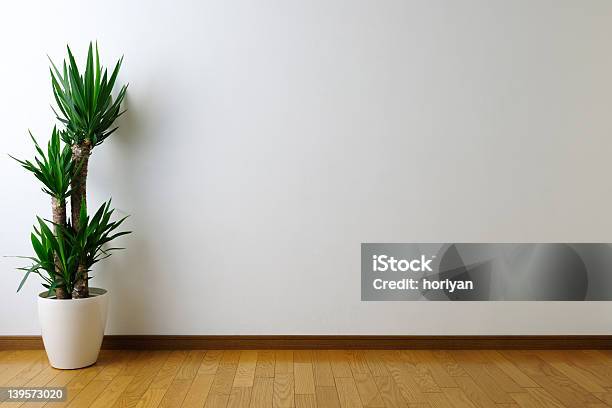 Room Stock Photo - Download Image Now - Indoors, Yucca, Backgrounds