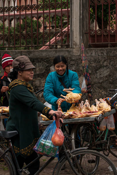 vendeurs de rue vietnamiens vendant du poulet frais sur leurs vélos. - vietnam market asia bird photos et images de collection