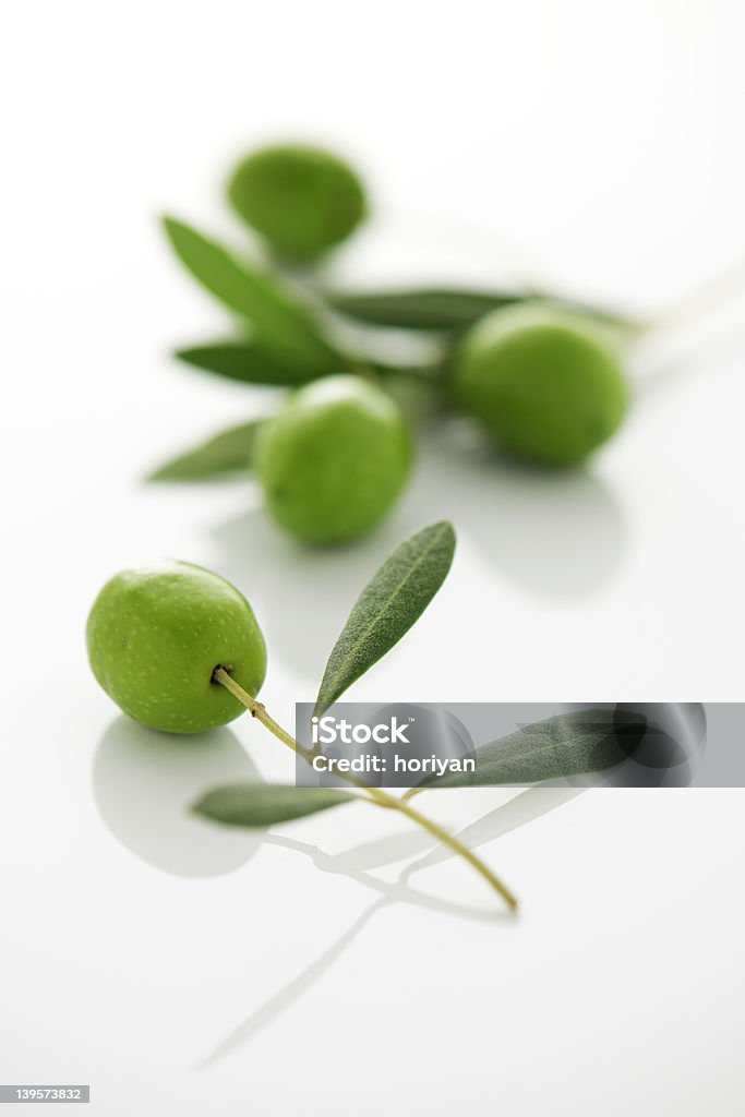 Olive branch Isolated olive branch Agriculture Stock Photo