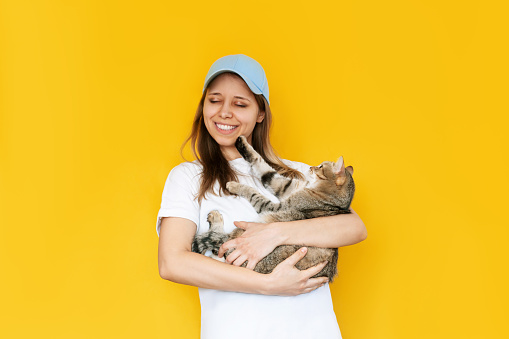 A young caucasian blonde woman  in a white t-shirt and blue cap holds a tabby cat in her hands isolated on a color yellow background. The cat touches the girl's face with her paw scratching it