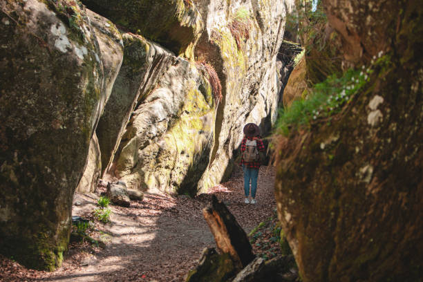 istock woman hiker with backpack walking by trail 1395743889