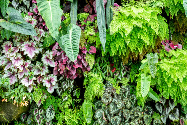 istock Green Plants Cover On The Wall 1395745941