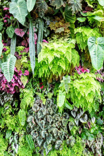 istock Green Plants Cover On The Wall 1395745942
