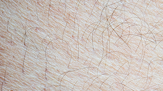 Close up skin texture with hair