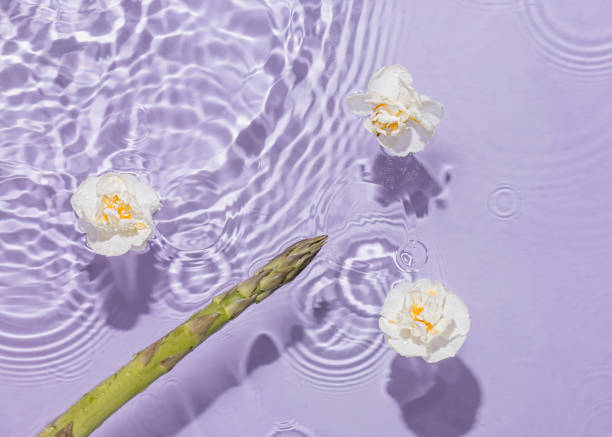 istock Asparagus stem and white flowers float on a pastel purple liquid background. Reflections of sun and shadows. Natural pattern of healthy vegetables. Minimal concept of spring or summer food. Flat lay. 1395747970