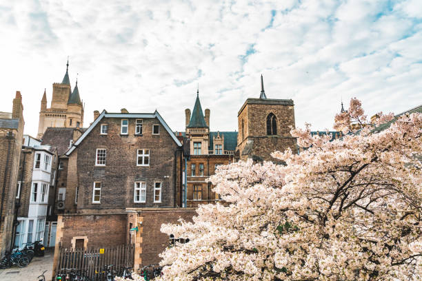 istock Cherry Blossom of College gardens, Cambridge 1395748314