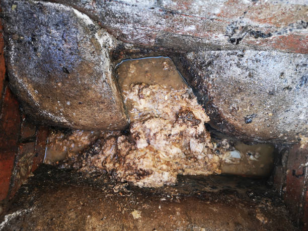 istock Blocked sewer with feces and wet wipes 1395749205