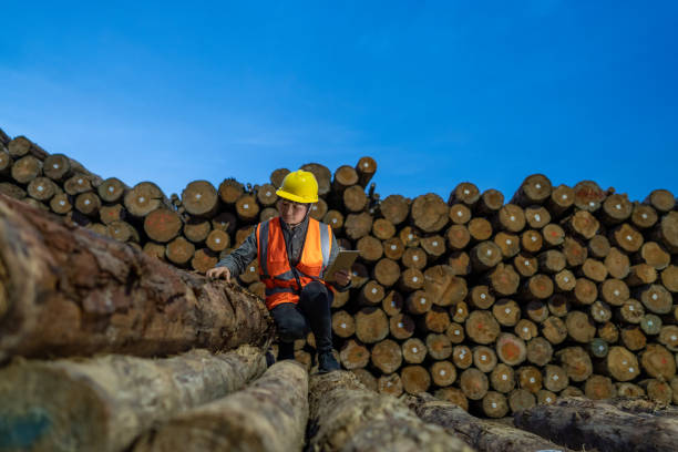 istock In the wood Wharf at night,A  female worker count the quantity with a tablet computer 1395749330