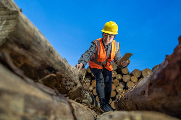 istock In the wood Wharf at night,A  female worker count the quantity with a tablet computer 1395749368