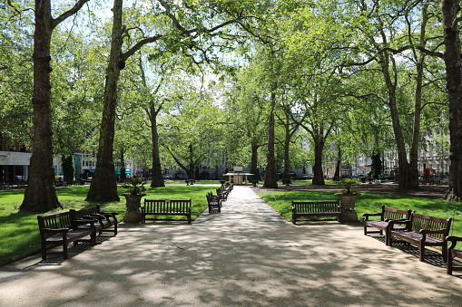 Berkeley Square in London During Covid-19 Lockdown, April 2020, Deserted