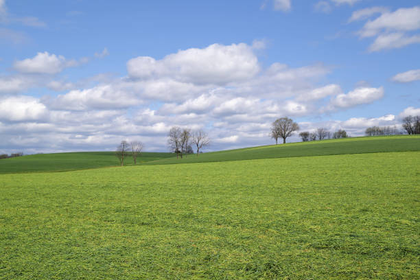 istock Rolling hillside of freshly cut hay on a sunny spring day. 1395752644