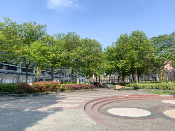 istock The plants in the square 1395756214