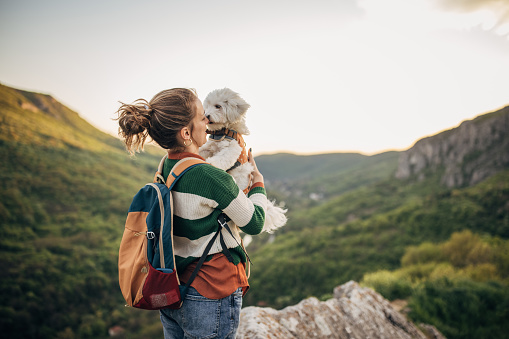 One woman, young female hiker standing high on mountain in sunset, she is holding her pet Maltese dog.