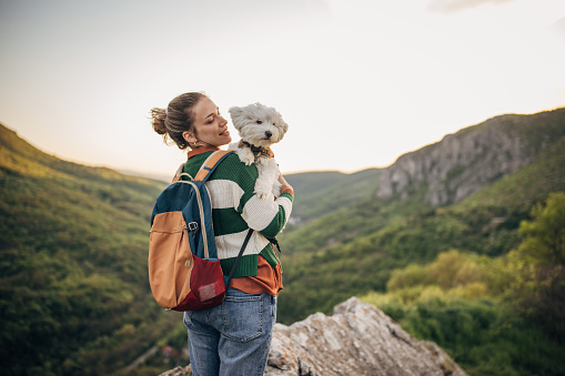 One woman, young female hiker standing high on mountain in sunset, she is holding her pet Maltese dog.