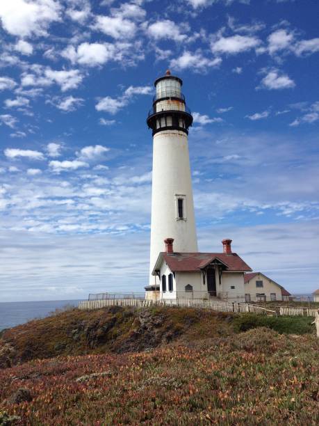 istock Pigeon point lighthouse in California 1395759495