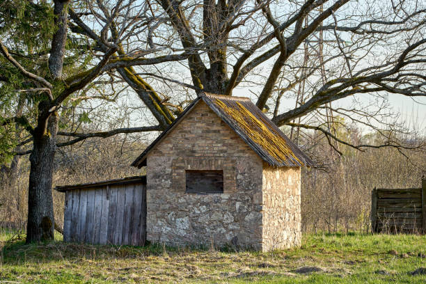 istock Old abandoned house in Latvia 1395759589
