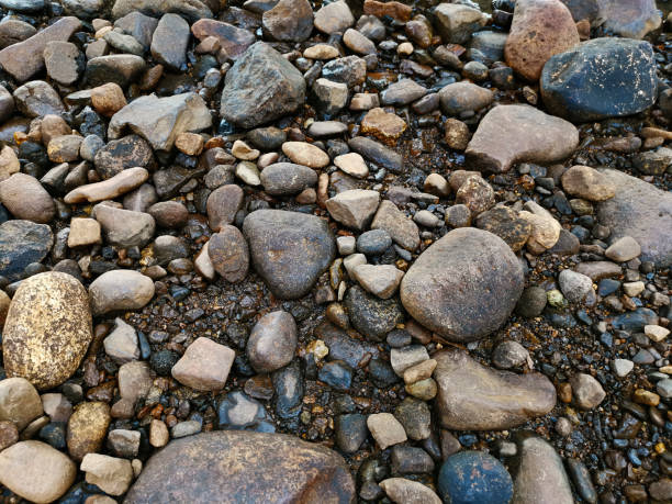 smooth River stone lies in ground near the river beach