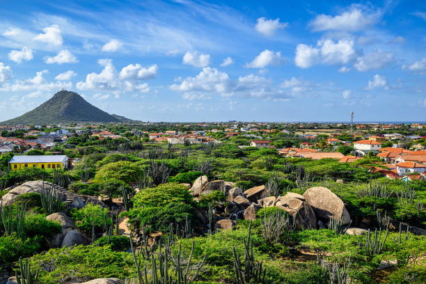 una vista panorámica de la isla caribeña de aruba - photography north america cactus plant fotografías e imágenes de stock