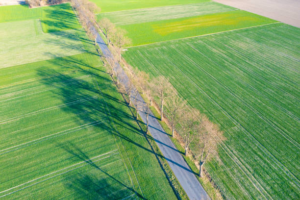 istock Green fields and trees Landscape shot from above a drone flight 1395763584