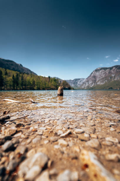 bohinj lake,triglav national park, julian alps - lake bohinj imagens e fotografias de stock