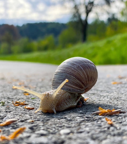 istock Better slowly to the goal than quickly without a goal 1395764554