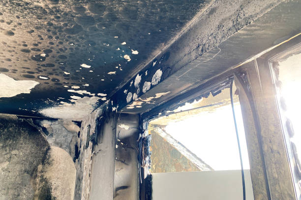 dom po pożarze, spalony pokój od wewnątrz - char grilled fire coal heat zdjęcia i obrazy z banku zdjęć