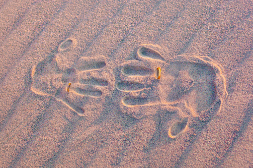 Closeup of female hand writing 2023 year on wet sand at sea beach.