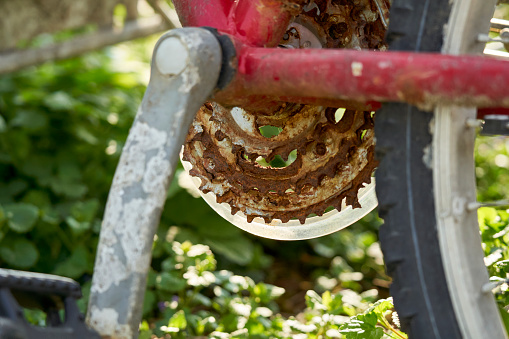 Primer plano de una vieja bicicleta oxidada. Engranajes destruidos. Pedalea en primer plano. MTB De dos ruedas es un hallazgo marítimo (Seefunde). photo
