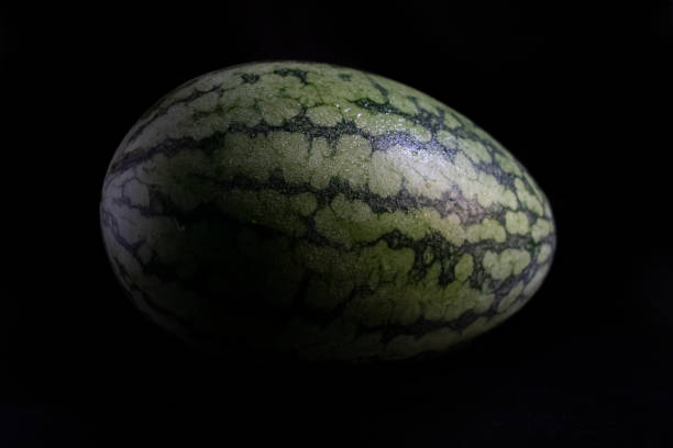 whole watermelon with drop of water over on dark background,