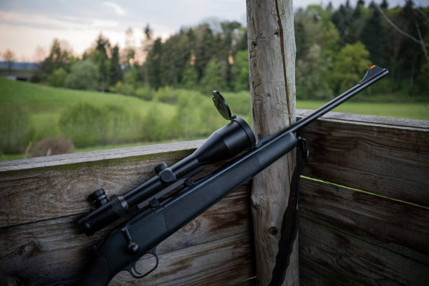 rifle de caza moderno - visor de un rifle fotografías e imágenes de stock