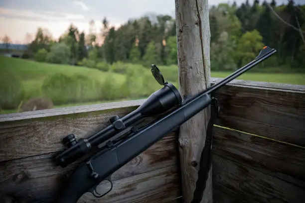 Modern hunting weapon with scope on a high seat at dusk in Germany