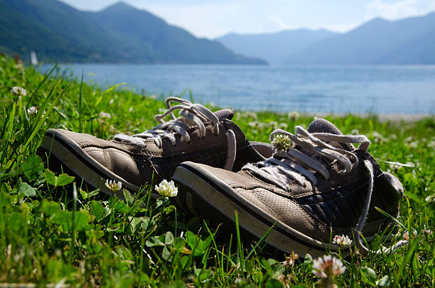 istock Shoes on a field with flowers 139578393