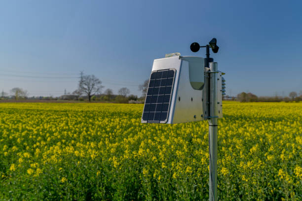 Smart agriculture and smart farm technology. Meteorological instrument used to measure the wind speed and solar cell system in the raps field. Weather station with solar panel placed in the field. Smart agriculture and smart farm technology. Meteorological instrument used to measure the wind speed and solar cell system in the raps field. Weather station with solar panel placed in the field. german barometer stock pictures, royalty-free photos & images