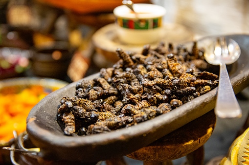 Cooked mopane worms at a traditional bomb dinner in Africa.  Gonimbrasia belina is a species of emperor moth. Its large edible caterpilla is known as the mopane worm.