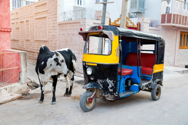 オートリキシャリー - インド、ラジャスタン州ビカネルのトゥクトゥクと牛 - 人力車 写真 ストックフォトと画像