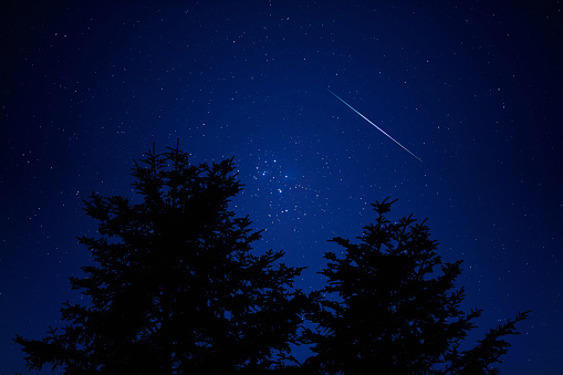 Tree silhouettes, Milky way and shooting stars on a vivid night sky.