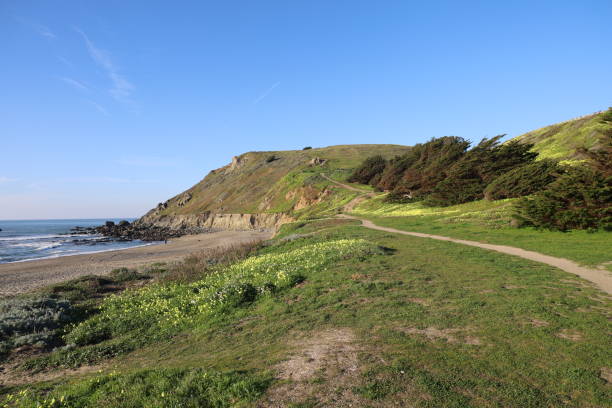 istock Coastal view along highway 1 in Pacifica california 1395790606