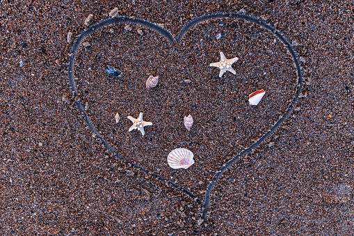 Footprints in sand, and shells lay peacefully  with the sound of waves. Amelia Island, Florida, USA