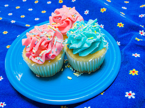 A blue plate holds three frosted cupcakes covered with candy sprinkles.