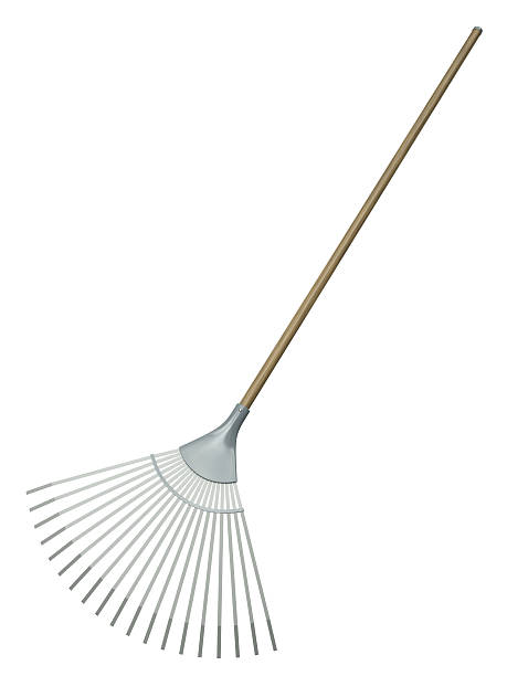 Leaf rake, common garden tool Leaf rake isolated on white background. 3D rendered illustration. rake stock pictures, royalty-free photos & images