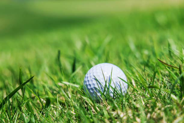 istock A white ball that fell roughly on a golf course 1395794559