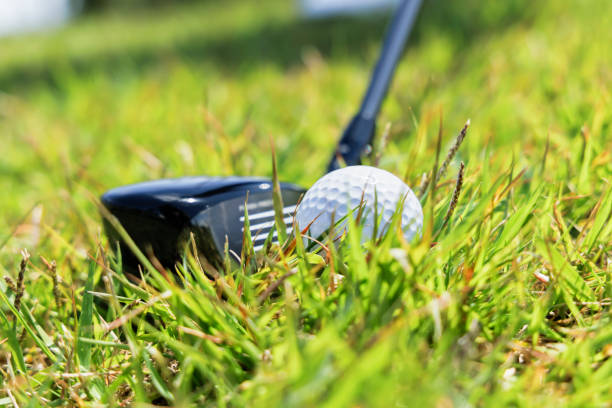 istock A white ball that fell roughly on a golf course 1395794599