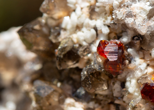garnet  mineral specimen stone rock geology gem crystal in Tucson, Arizona, United States