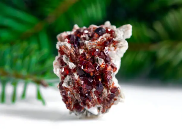 garnet  mineral specimen stone rock geology gem crystal in Tucson, Arizona, United States