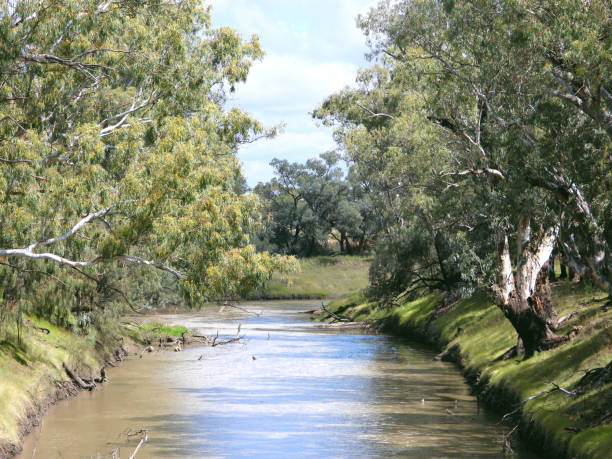 istock Lake Cargelligo, NSW, Australia 1395798296